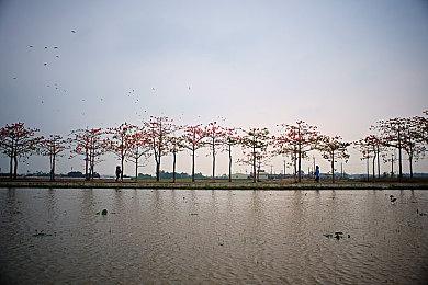 《寂静岭F》和《合金装备3：重制版》确认参加科隆展！新预告公布